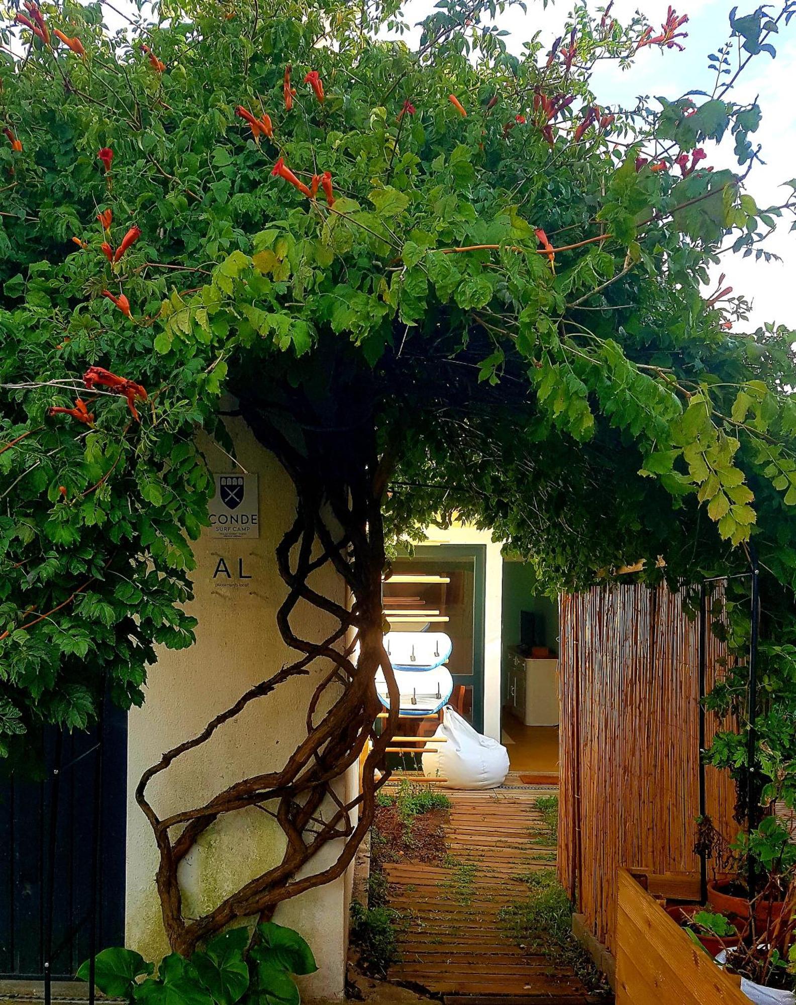 Willa Conde Surf Camp - Junto Ao Mar - Entire Pvt House Vila do Conde Zewnętrze zdjęcie